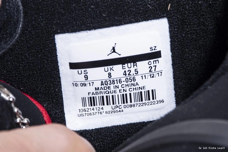 Jordan AQ3816-056 4 Air Raptors 0104